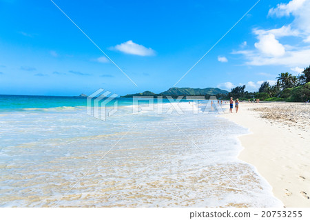 [夏威夷]瓦胡島凱魯瓦海灘 20753255