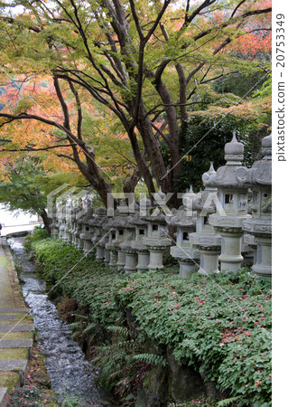 勝男的燈籠 勝男的燈籠 20753349