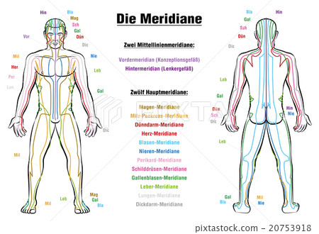 Meridian System Description Chart GERMAN 20753918