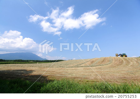 Summer pastures Summer pastures 20755253