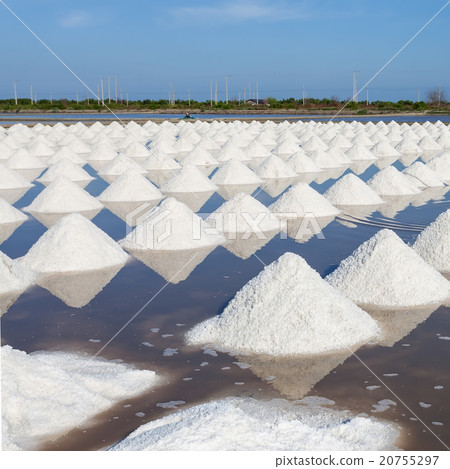 Salt in sea salt farm ready for harvest, Thailand. 20755297