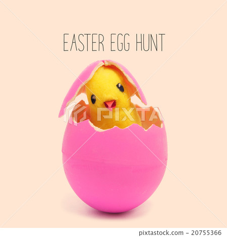 text easter egg hunt and teddy chick in pink egg 20755366
