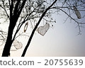 Silhouette branches of tree and heart. 20755639