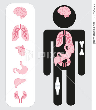 Medical human organs icon set with body. 20755777