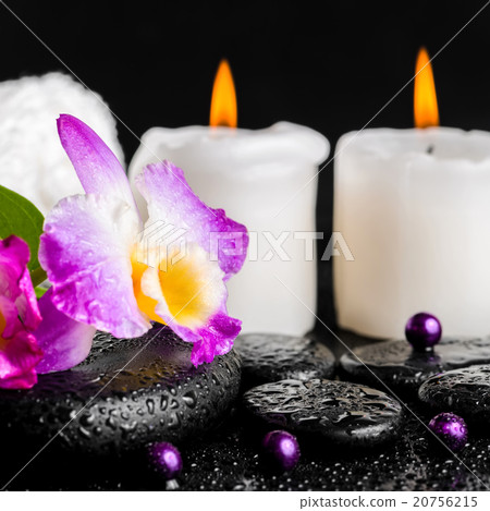spa still life of purple orchid dendrobium, spa still life of purple orchid dendrobium, 20756215