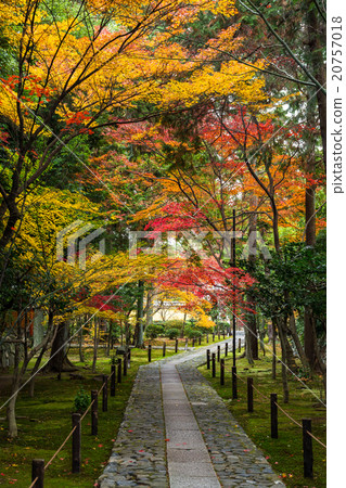 Autumn Kaohsiung Autumn Kaohsiung 20757018