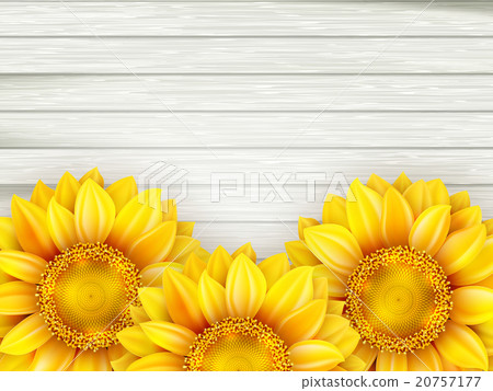 Sunflowers on wooden background. EPS 10 Sunflowers on wooden background. EPS 10 20757177