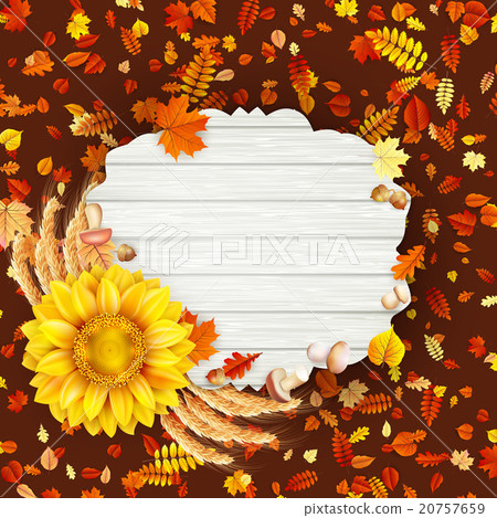 Colorful leaves background. EPS 10 Colorful leaves background. EPS 10 20757659