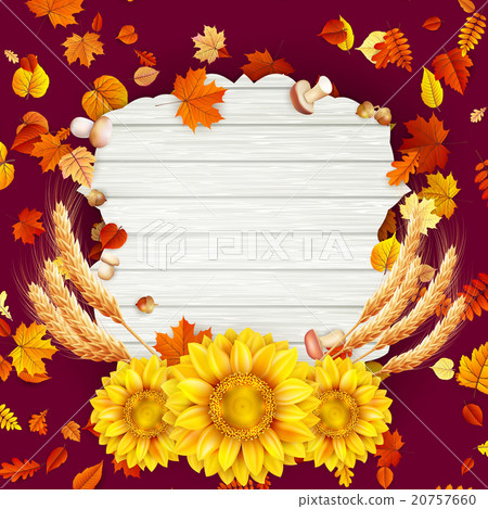 Colorful leaves background. EPS 10 20757660