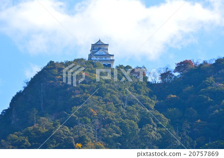 Kinkakuyama / Gifu Castle（岐阜縣岐阜市） 20757869