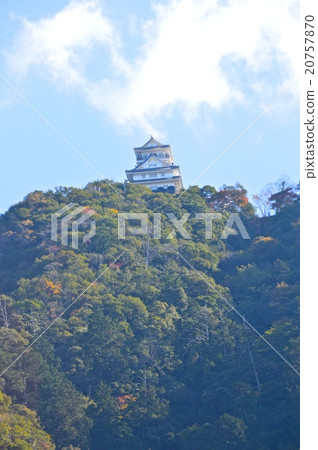 Kinkakuyama / Gifu Castle（岐阜縣岐阜市） 20757870