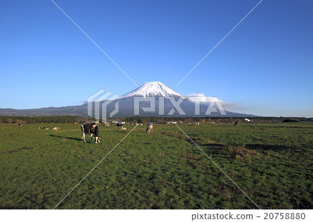 Ranch of Morning Fog and Mt. Fuji Ranch of Morning Fog and Mt. Fuji 20758880
