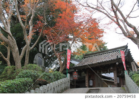 Yoshimizu Shrine Yoshimizu Shrine 20759458