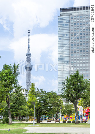 金城公園 20761641