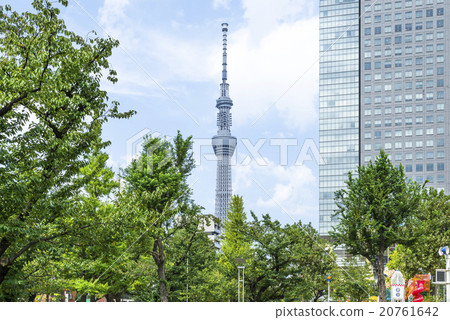 Kinshiko公園的東京天空樹 20761642