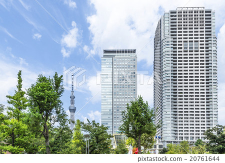 Orinas and Tokyo Sky Tree from Kinshiko Park Orinas and Tokyo Sky Tree from Kinshiko Park 20761644