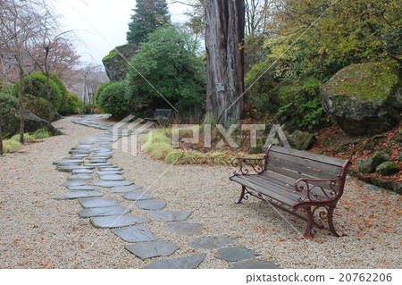 秋天的公園 20762206