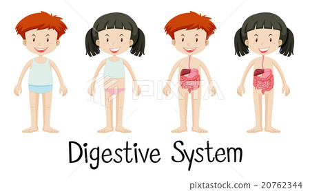 Boy and girl with digestive system Boy and girl with digestive system 20762344
