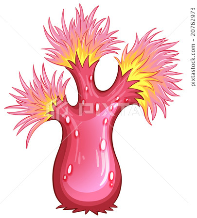 Pink coral on white background Pink coral on white background 20762973
