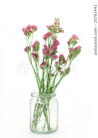 Beautiful Statice flowers isolated on white Beautiful Statice flowers isolated on white 20763441