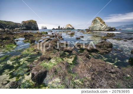 Big Sur Beach Big Sur Beach 20763695