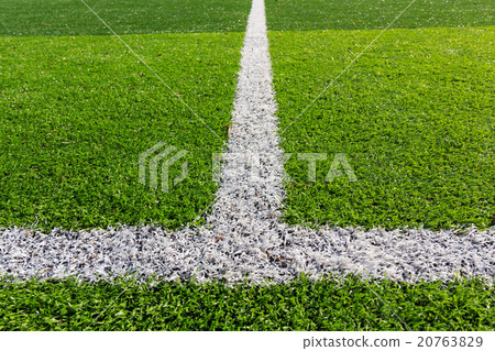 White line on the green soccer field White line on the green soccer field 20763829