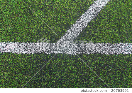 soccer field grass 20763991