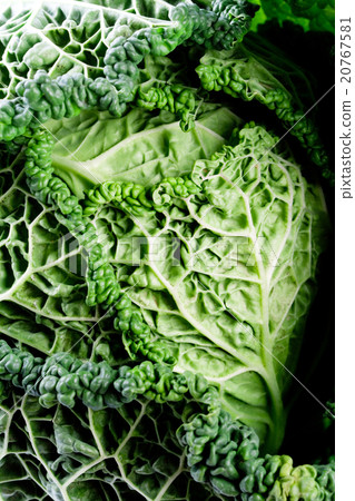 fresh savoy cabbage 20767581