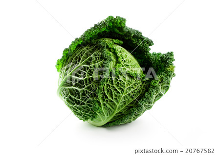 fresh savoy cabbage 20767582