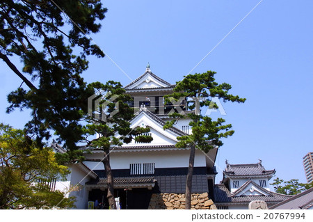 春天岡崎城堡城堡塔 20767994