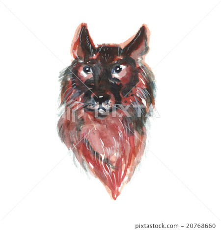 Watercolor portrait of German shepherd dog  20768660