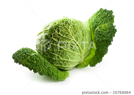 fresh savoy cabbage fresh savoy cabbage 20768864