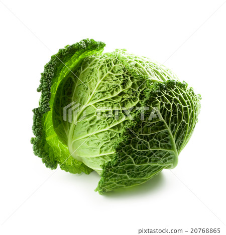 fresh savoy cabbage 20768865