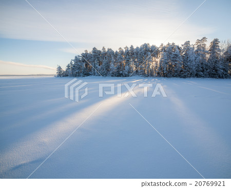 Frozen lake and snow covered forest Frozen lake and snow covered forest 20769921