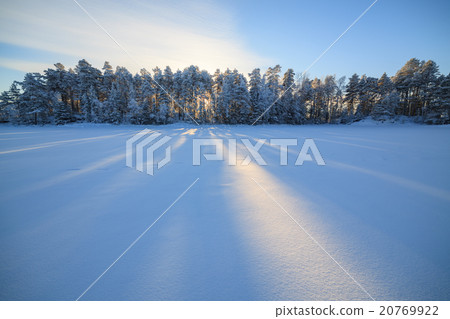 Frozen lake and snow covered forest Frozen lake and snow covered forest 20769922