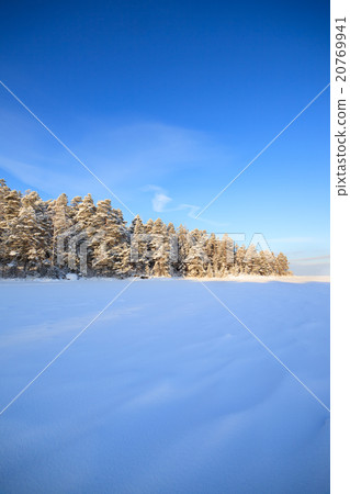 Frozen lake and snow covered forest 20769941