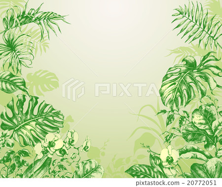 Natural Green Background with tropical plants. Natural Green Background with tropical plants. 20772051
