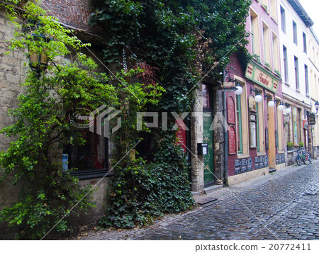 street city 20772411