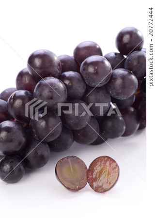 巨大的高峰 20772444