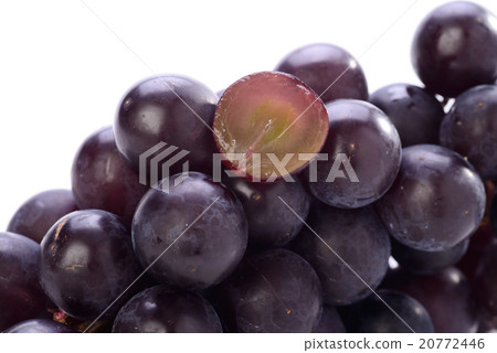 巨大的高峰 20772446