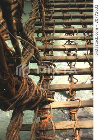 Kazura Bridge in Iya 20772632