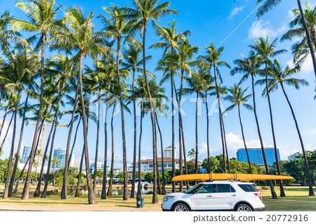 [Hawaii] Cars loaded with Honolulu palm trees and boats 20772916