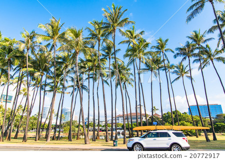 [Hawaii] Cars loaded with Honolulu palm trees and boats 20772917