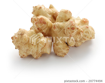 Jerusalem artichoke 20774494