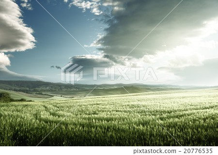 spring sunset in Tuscany, Italy 20776535