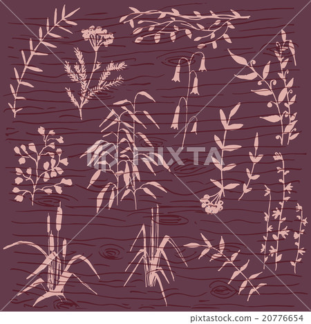 Violet Floral 20776654