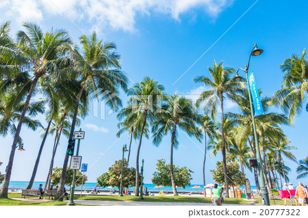 [Hawaii] Cityscape of Oahu and Waikiki 20777322