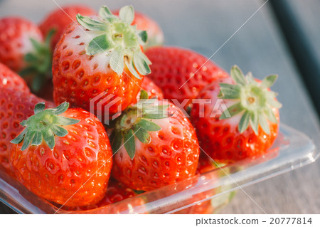 pile of Red strawberry on wooden table pile of Red strawberry on wooden table 20777814