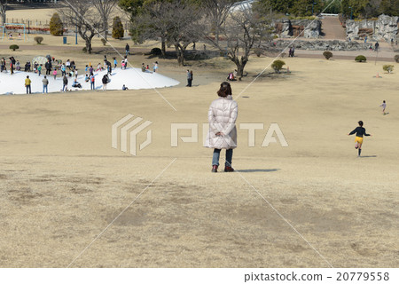 Early spring park 20779558