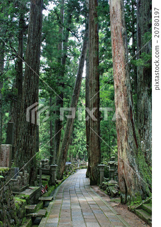 [高野山]通往奧金院的道路 20780197